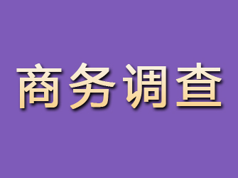 宣化商务调查